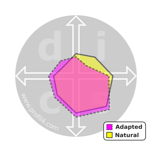 DISC wheel