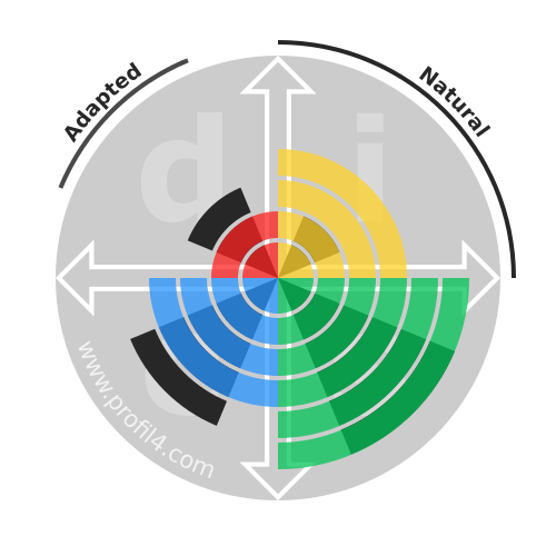 DISC wheel