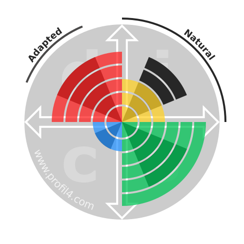 DISC wheel